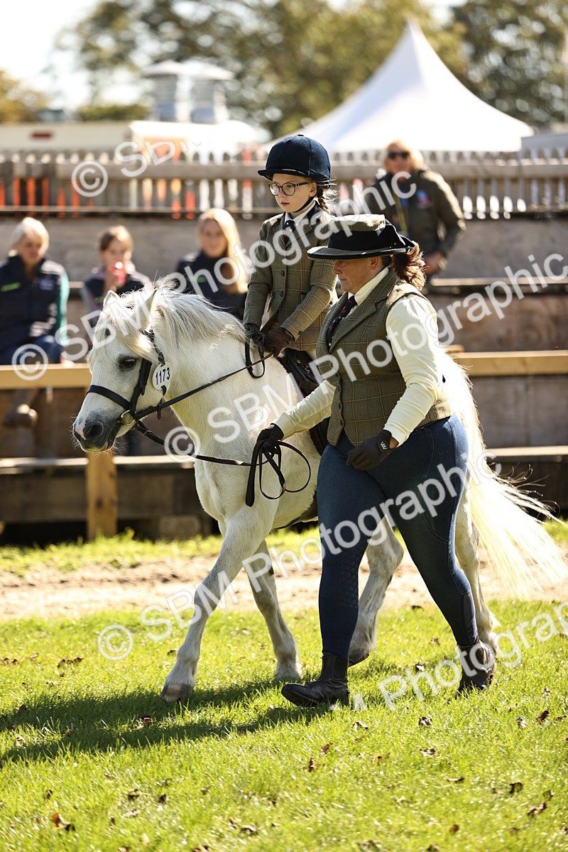 SBM_19309 - S3 - TSR Ridden Pony Showing