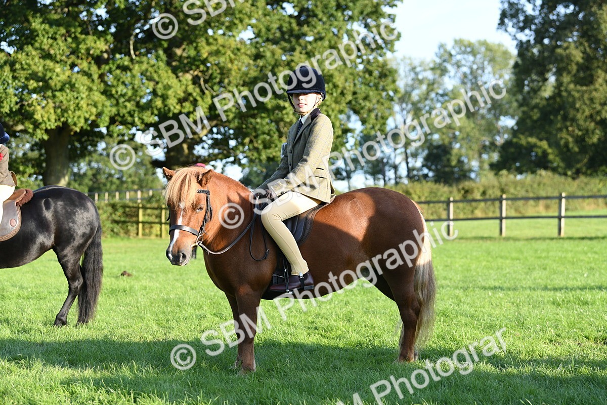 SBM_54122 - S23 - 1st Ridden Mountain & Moorland Pony
