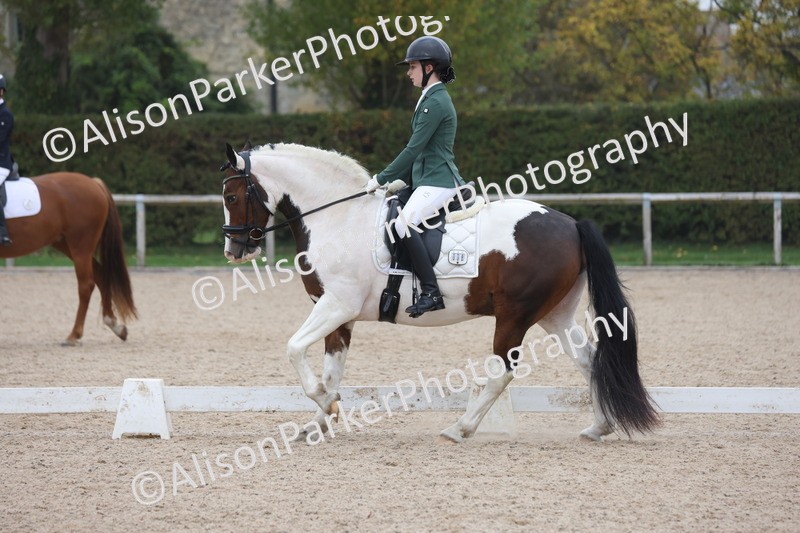 20251012-0599 - Class 5 - Elementary 5