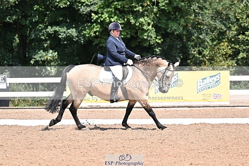 250816-121416-03951 - 082-Sarah.DavisWinston.Classic.Gold