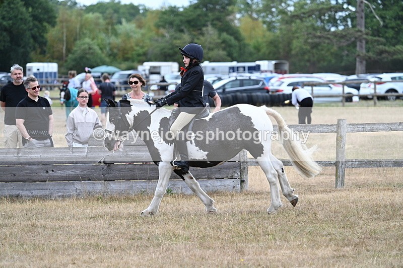 WJ7_7305 - Class 2 Best Rider