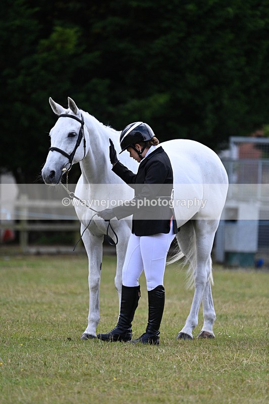 WJ7_7023 - Class 5a Most Handsome Gelding in Hand