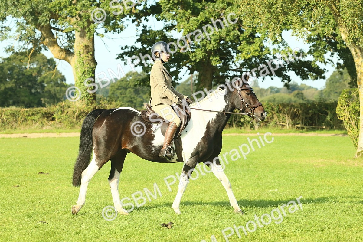 SBM_59315 - S38 - Starters Ridden Showing