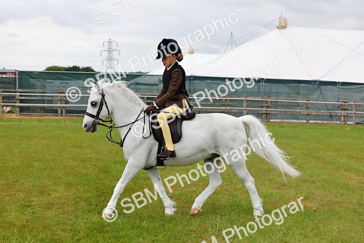 SBM_08654 - Class 42-43 - LIHS BSPS Heritage Working Sports Pony