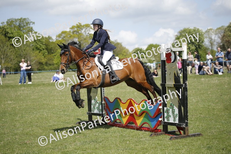 20250427-3516 - Class 14 - Absolute Novice 70cm
