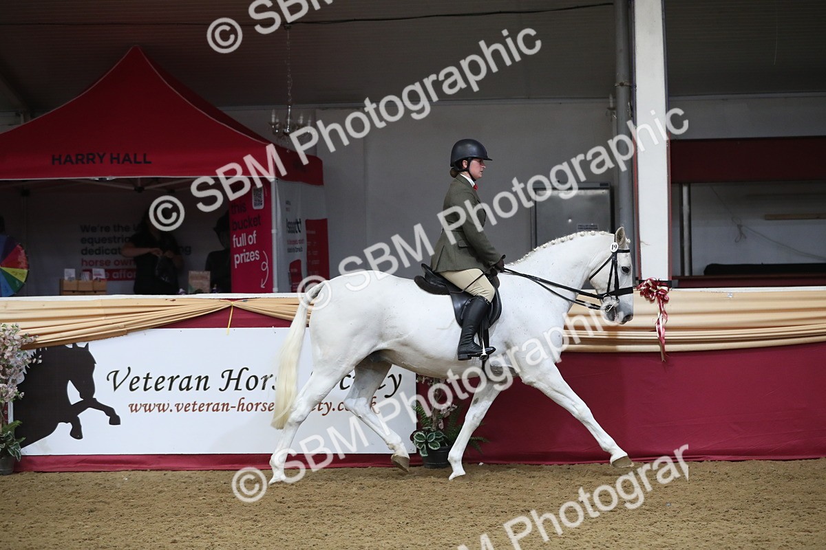 SBM_10483 - Class 102 Equitation (best rider) Adult
