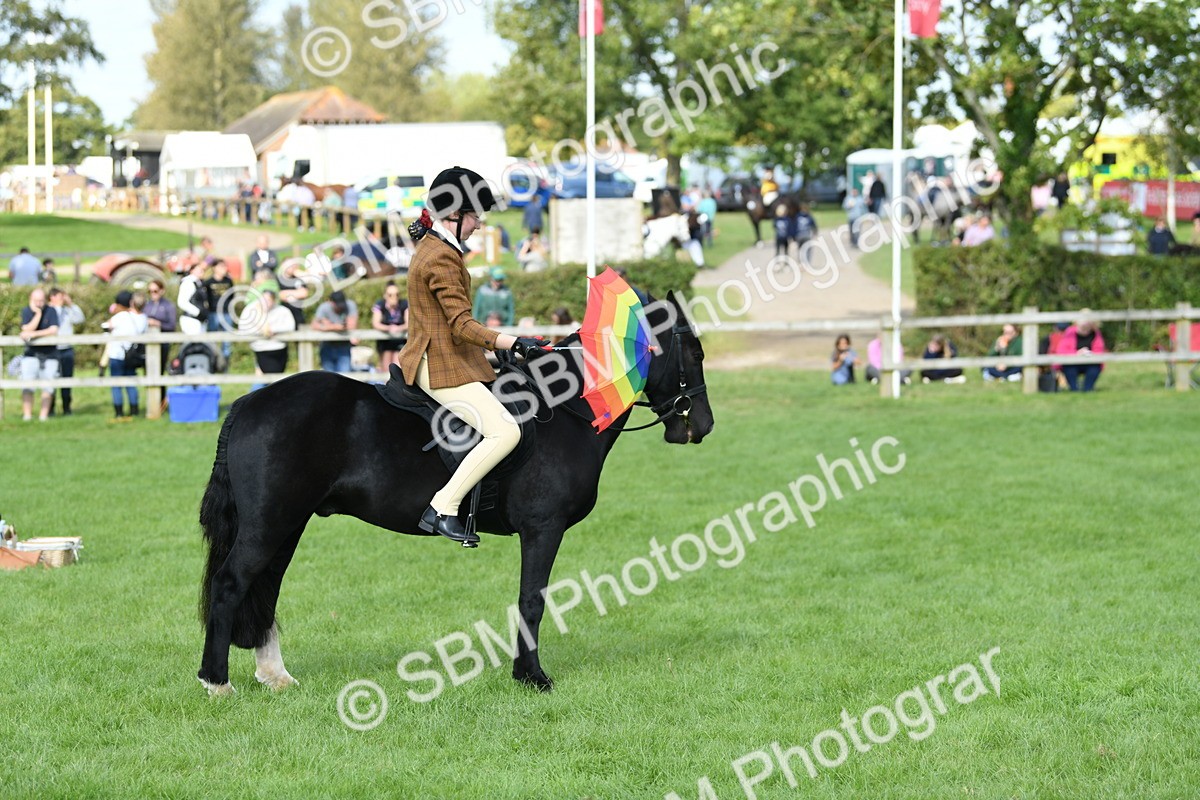 SBM_47077 - S12 - Family Horse & Pony