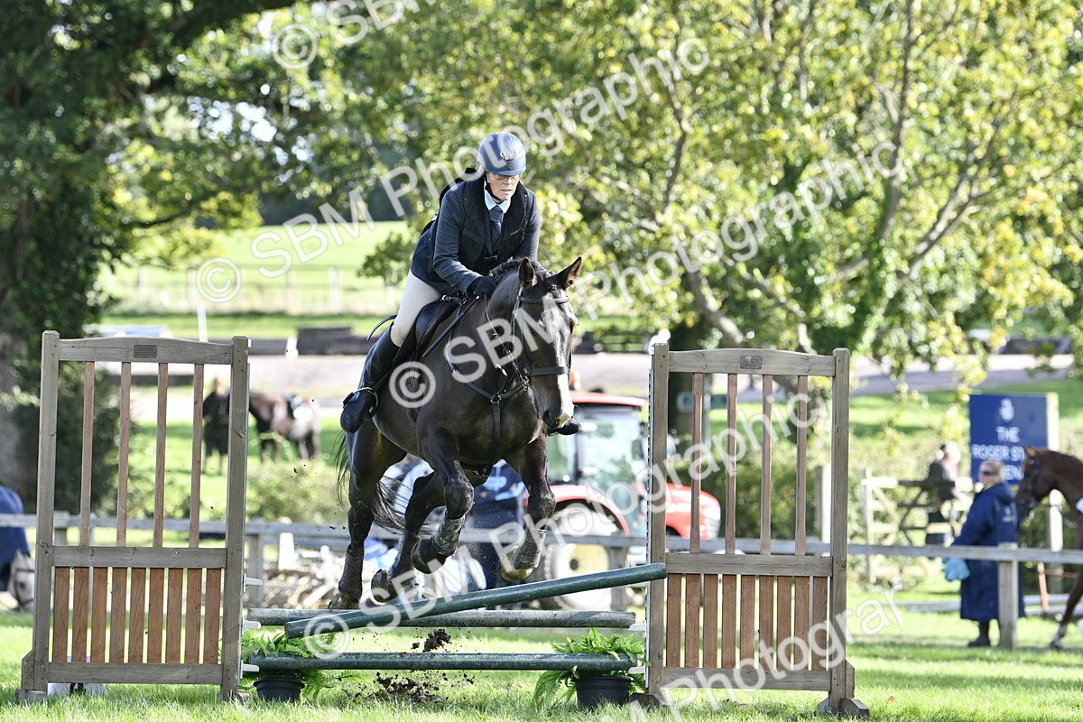 SBM_50035 - S34 - Novice & Newcomers Working Hunter