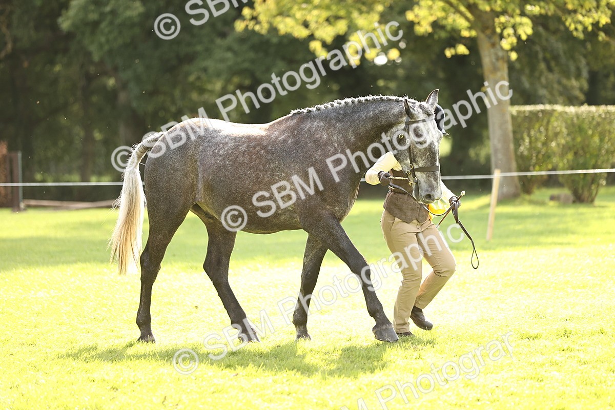 SBM_26316 - S5 - Novice & Newcomers In Hand