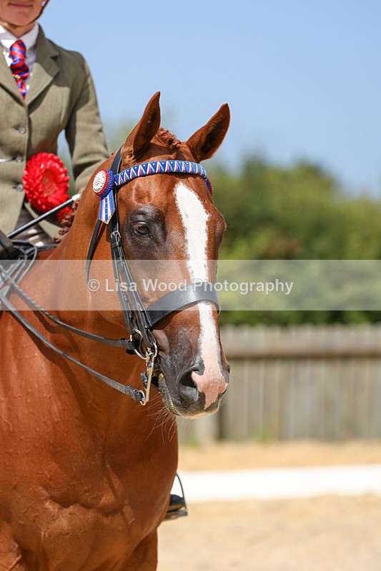 1X9A8500 - Ridden Championship