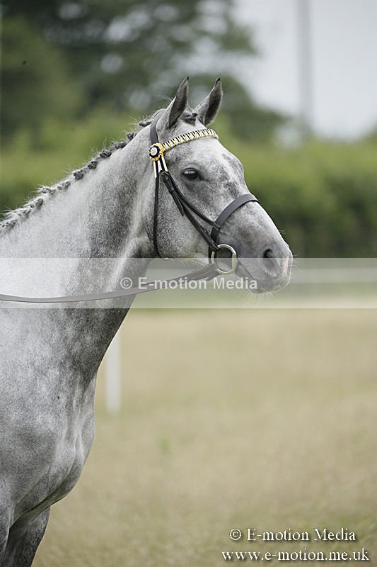 B230619-0953 - Bourne Valley Riding Club Summer Show 23/06/19