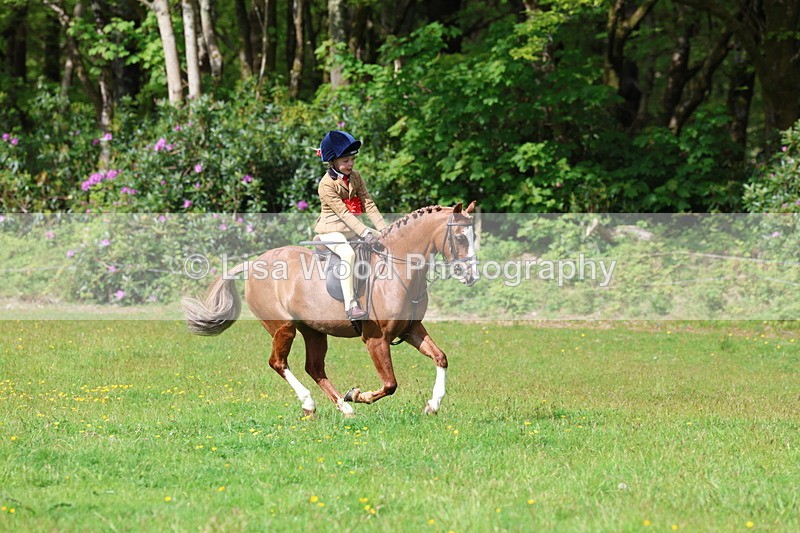 3E7A2700 - Working Hunter Championship
