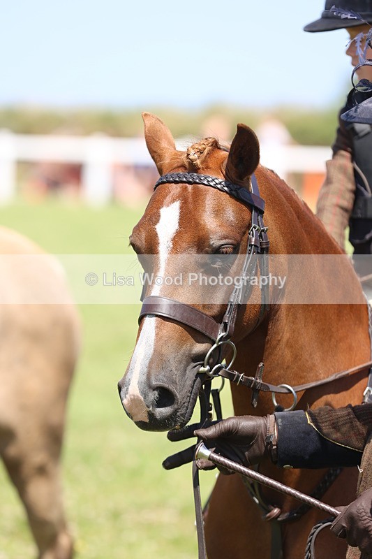 JPP_2277 - Class 20: Tiny Tots Working Hunter Pony