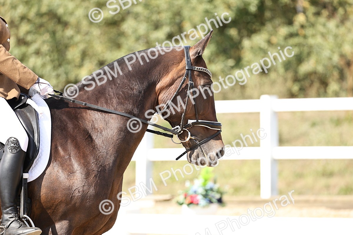 SBM_014892 - Class 7 - Medium 3