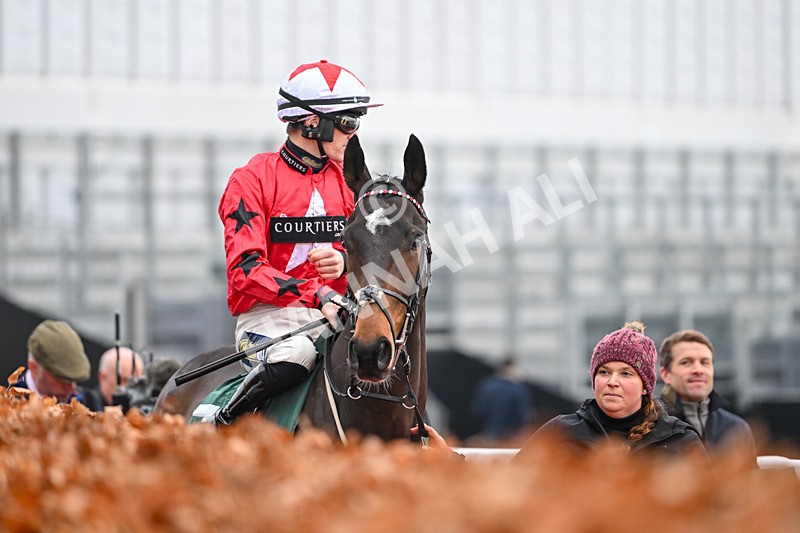 131224-Race 4-The Newest One-9025 - Race 4