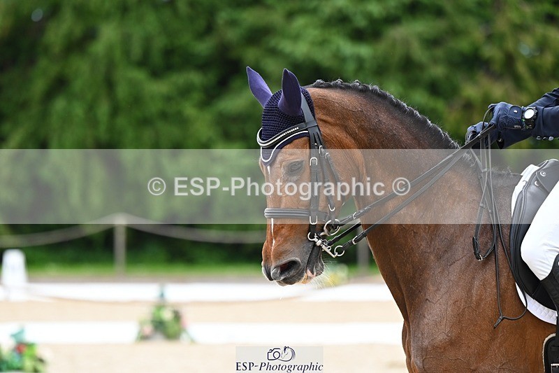 240524-152825-10486 - 535-ZARAGOZA_II-Gaspard_Maksud