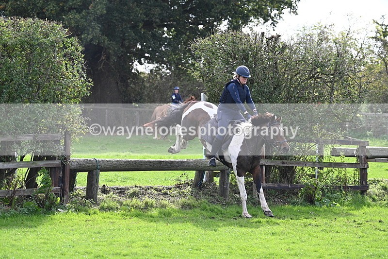 WJ7_0317 - Time 13:55 to 14:26