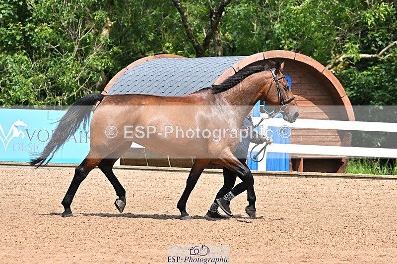 240718A-105305-01553 - Trot Up 1pm to 2pm