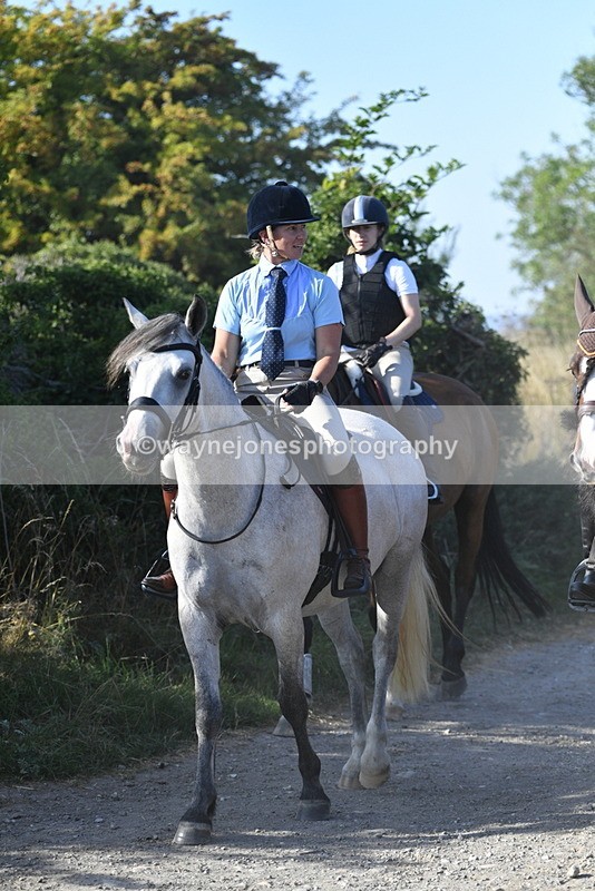 WJ5_4919 - Walk out with the hounds