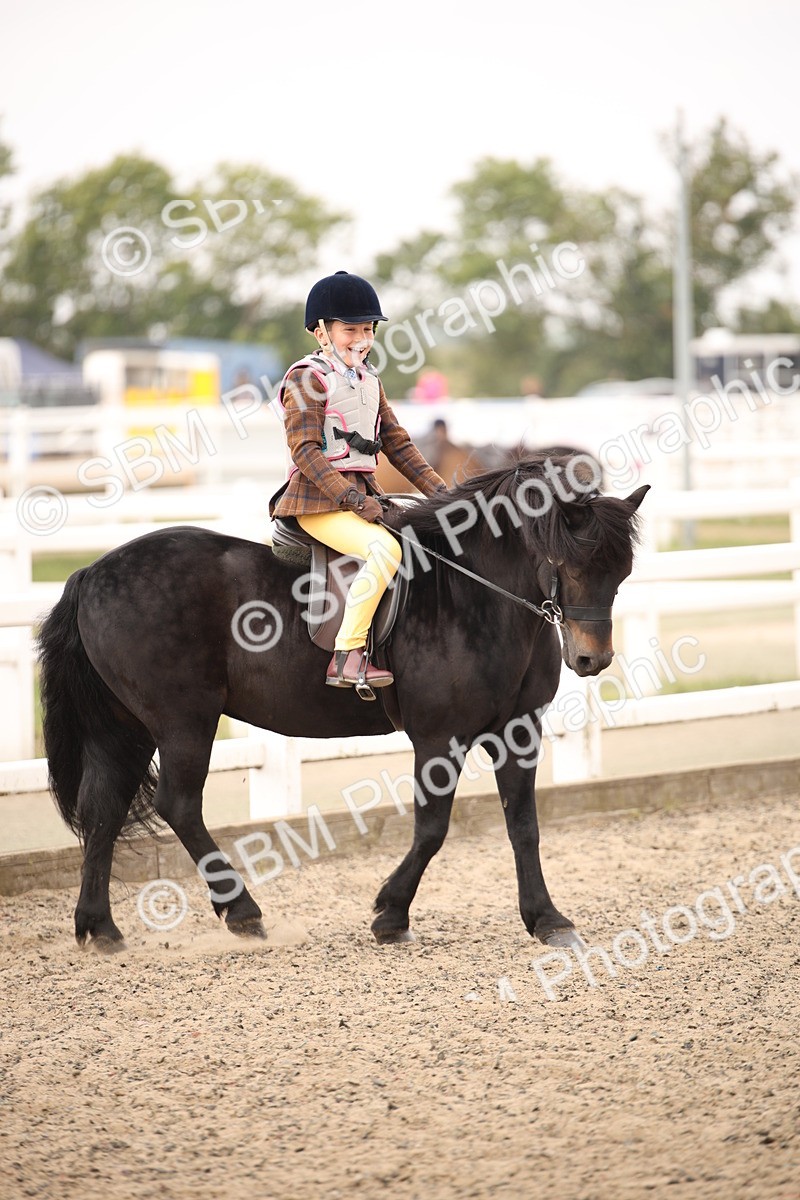 SBM_11733 - Class 404a Junior Working Veteran- 40cm (15-19)