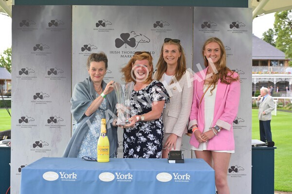 yr23072021r2-53 - Race 2 6.30pm IRE-Incentive It Pays To Buy Irish Stakes