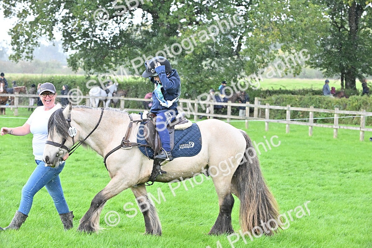 SBM_43008 - S12 - Family Horse & Pony