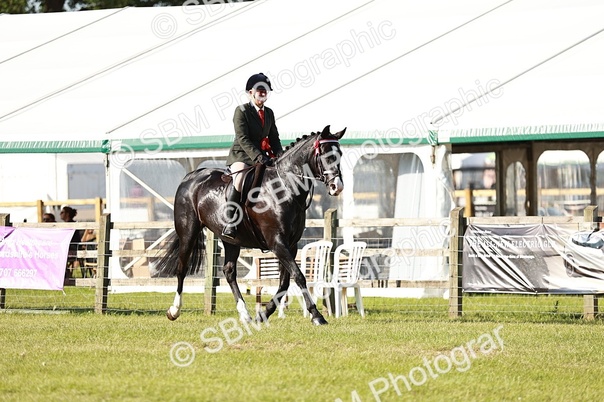 SBM_19341 - Class 115-116 - LIHS BSHA Rising Star Working Hunter & Show Horse