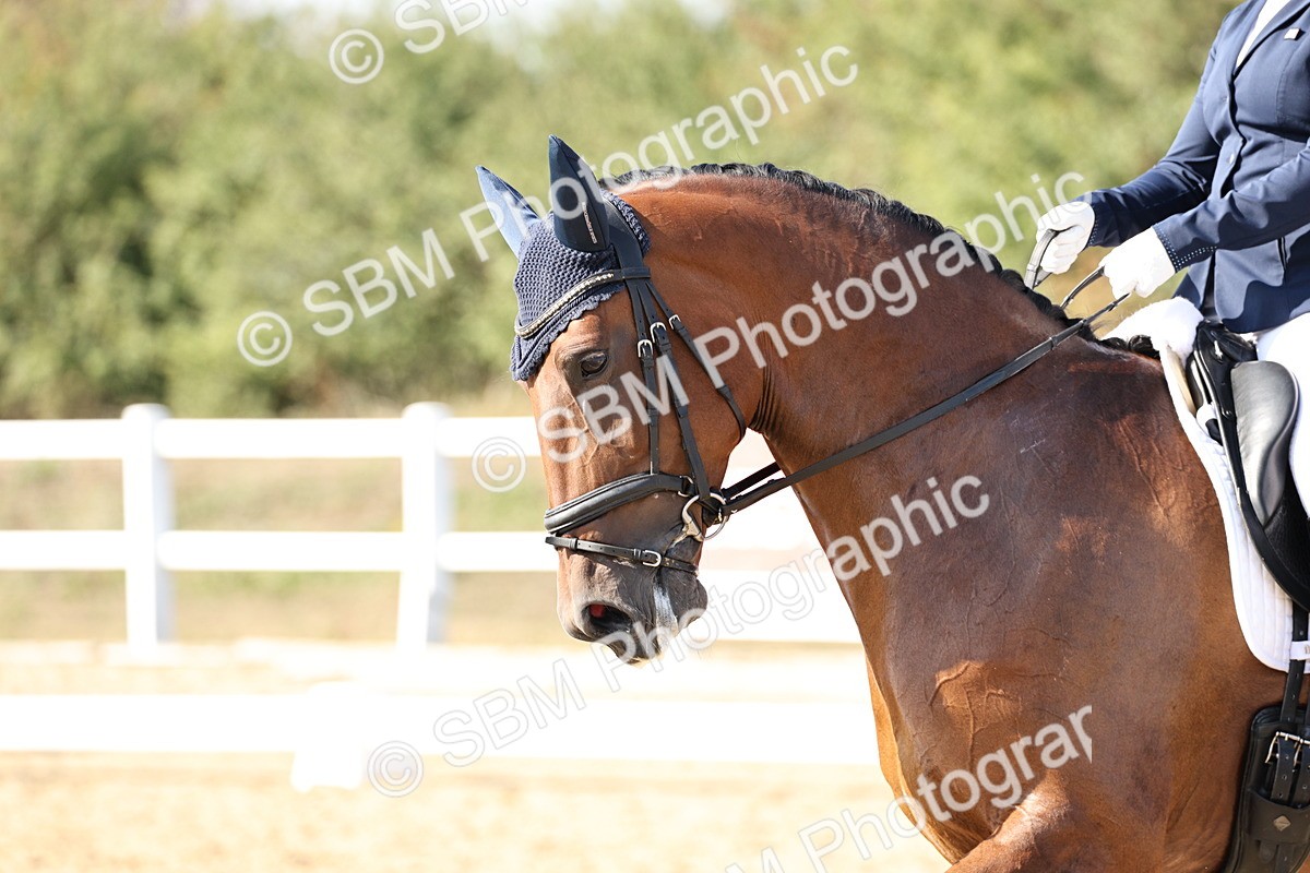 SBM_015306 - Class 9 - Advanced medium 3