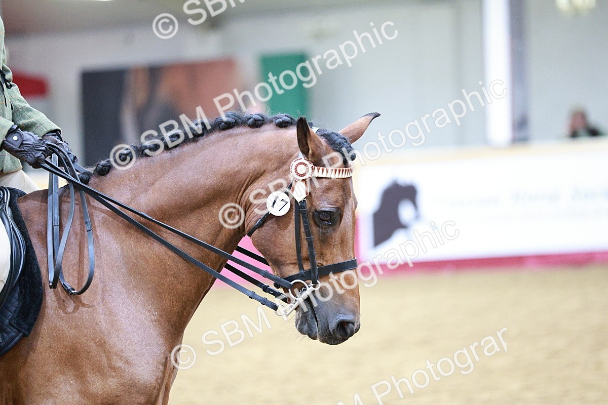 SBM_03551 - Class 6A Area Ridden Pre-Vet