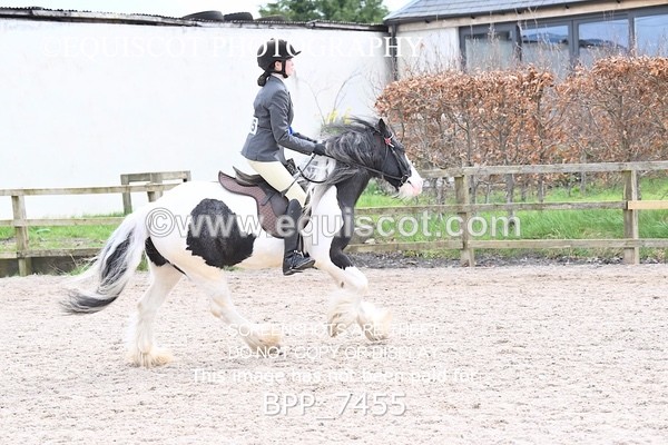 BPP_7455 - RING 1  (RIDDEN HORSES / IN HAND / VETERAN ETC)