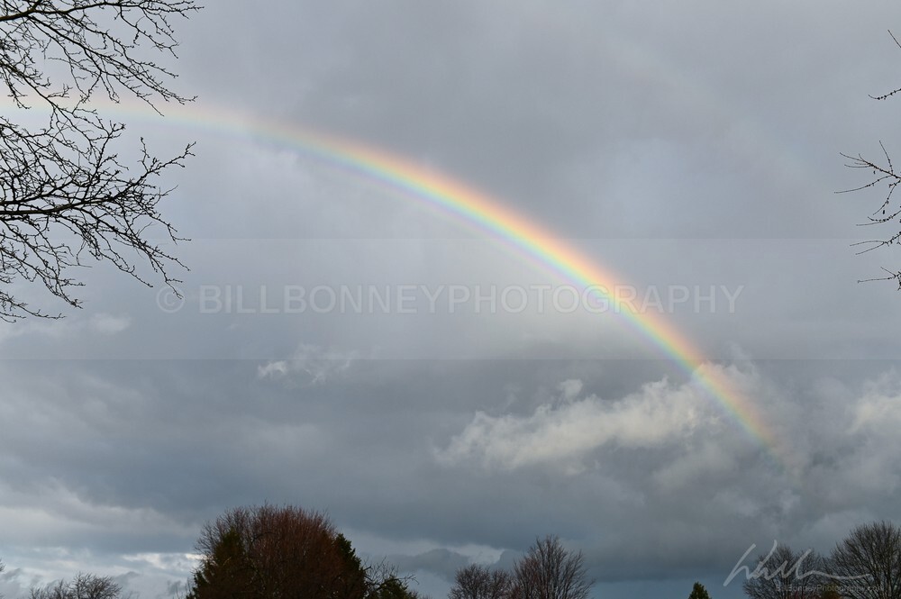 DSC_0133 - Autumn