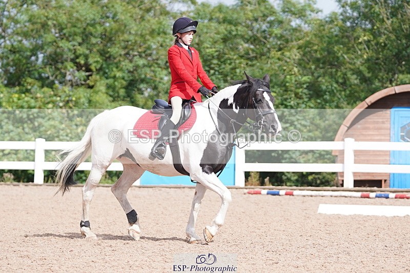 240809A-102340-00523 - Dressage Competition