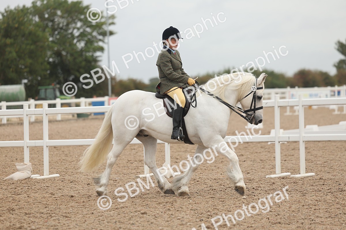 SBM_01865 - Class 14 - Ridden M&M Wildcard