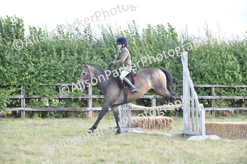 20250831-4095 - Class 13 - Working Hunter Horse or Pony