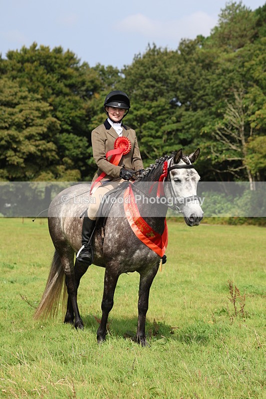 3E7A6148 - Working Hunter Championship