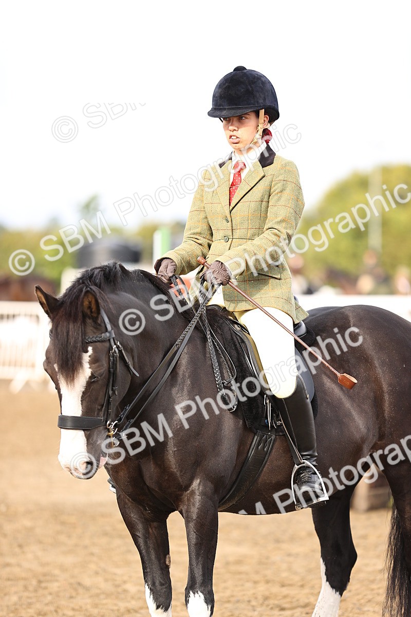 SBM_00166 - Class 51 - Best Turned Out - Ridden