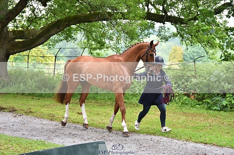 240522-165022-01189 - 263-CHILLI_MORNING_IV-Gemma_Stevens