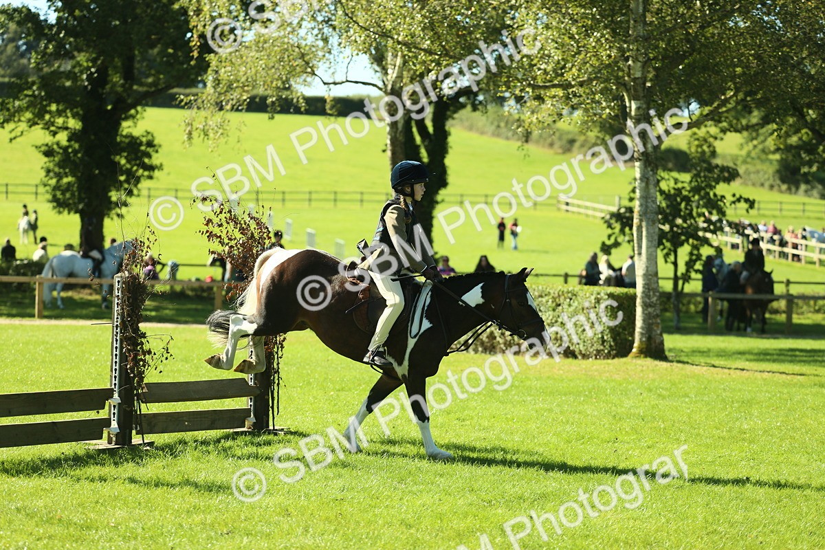 SBM_37528 - S29 - Novice & Newcomers Working Hunter Pony
