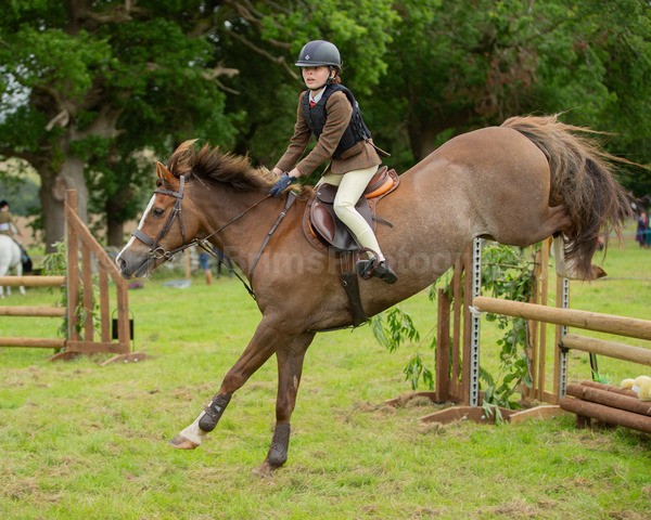Dunblane show-590 - Dunblane and Doune Show Ring 1