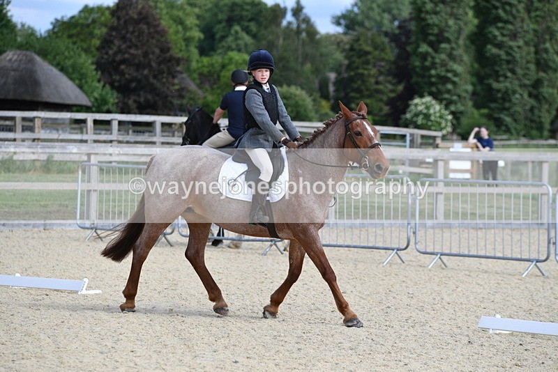 WJ5_7538 - Time 16:25 to 16:37