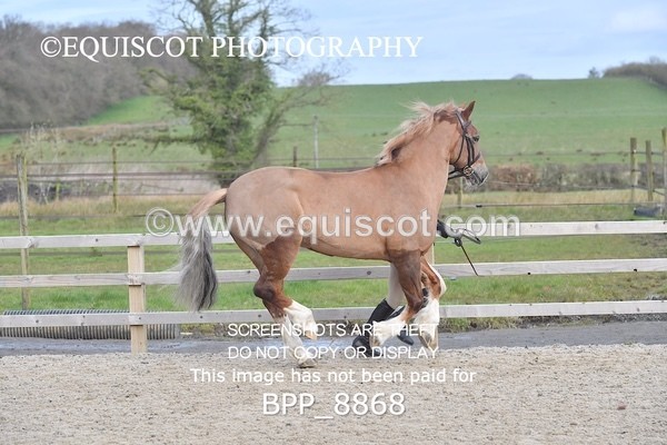 BPP_8868 - RING 2 - M&M