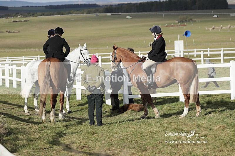 PtP 260223 974 - South & West Wilts Point-to-Point Larkhill 26/02/23