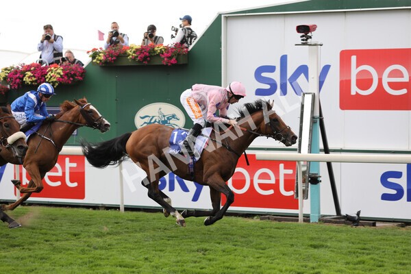 yr19082022r1-24 - Race 1 1.50pm Sky Bet Stakes