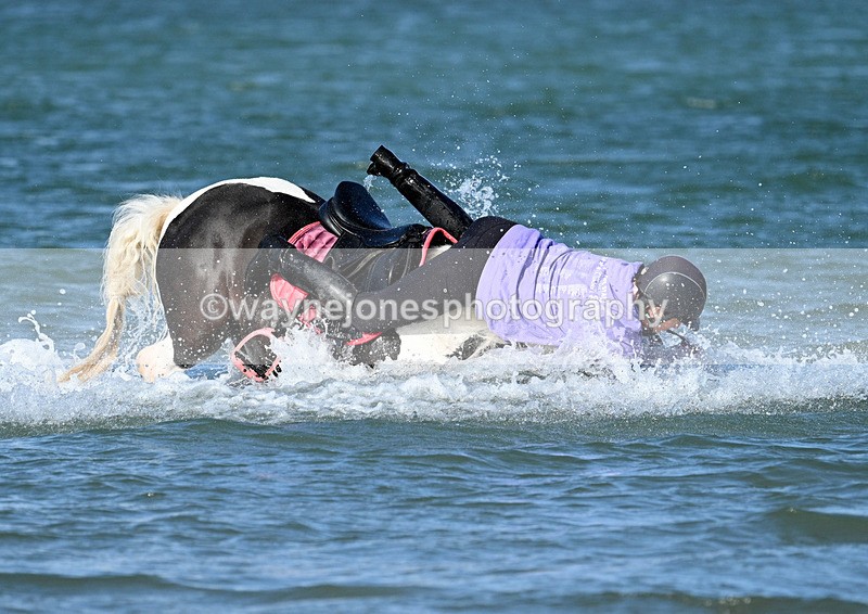 WJ7_3521 - Kellie & Churchill ... do Hayling Island 25-08-24