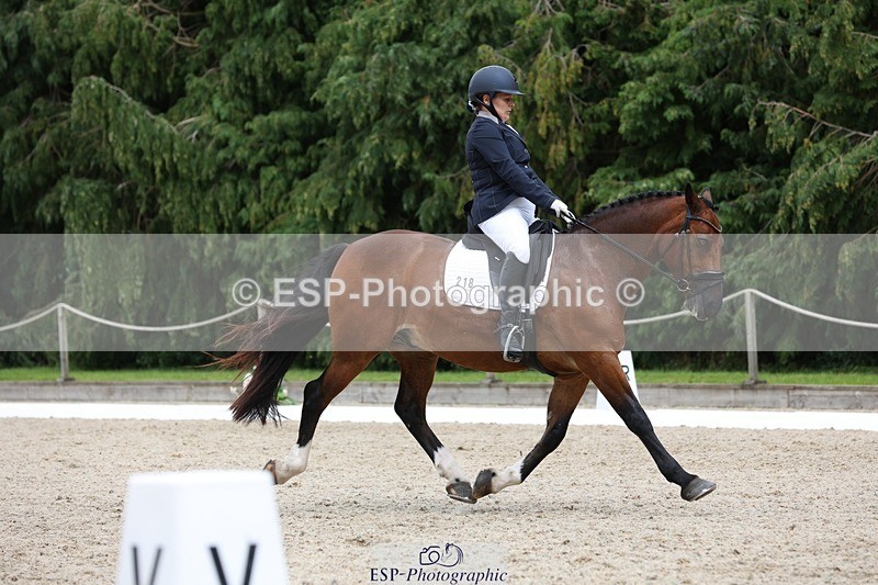 230812-142607-04416 - Cls 5 Novice Bronze 13.40 to 14.45 break