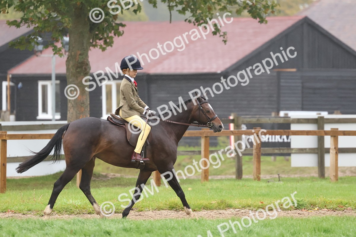 SBM_73026 - S63 Show Pony & Show Hunter Pony Ridden