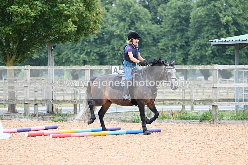 WJ7_7604 - Poles 10:00am