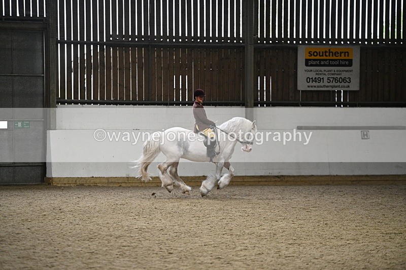 WJ7_3743 - Class 16 Ridden Coloured/ Odd Coloured