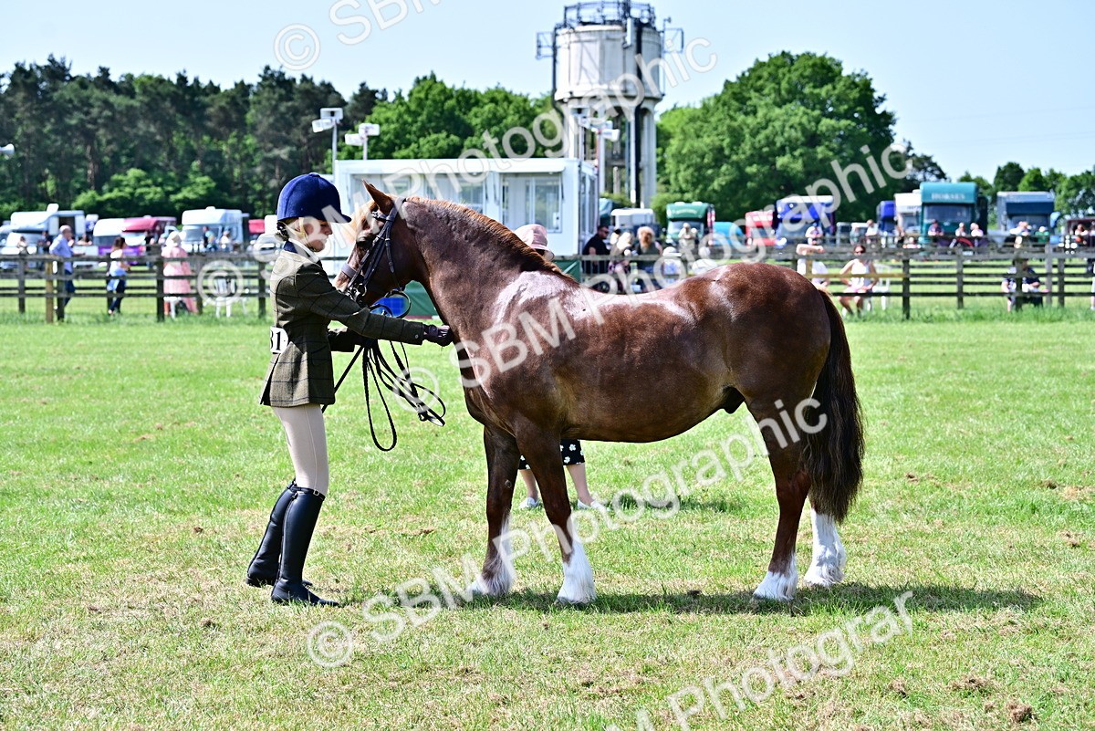 SBM_03870 - Class 58 - TSR  Ridden Veteran Amateur of the year