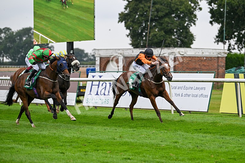 070924-Race 2-Cymbidium-7151 - Race 2